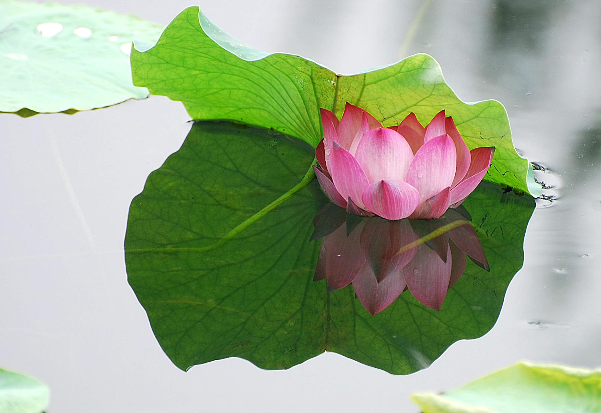 Photographie d'une scéance de reiki.